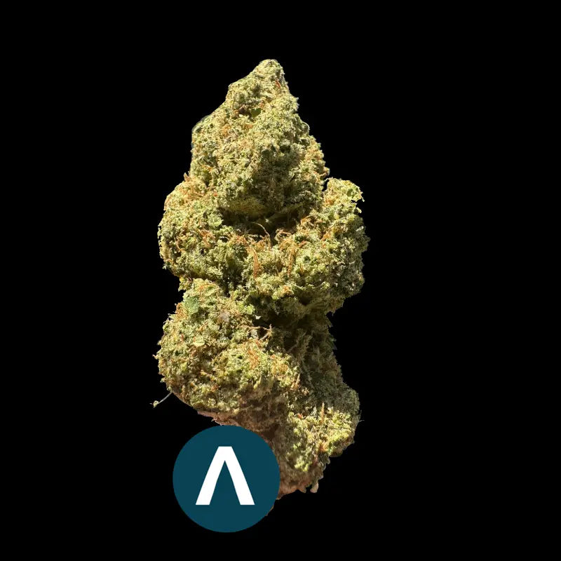 Fleurs - Plutonium Indoor - Woman's CBD World