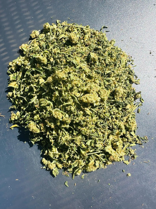 Trim Amnesia Indoor Suisse – 20 gr - Qualité Premium à Petit Prix Woman's CBD World