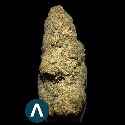 Fleurs - Amnésia Indoor - Woman's CBD World