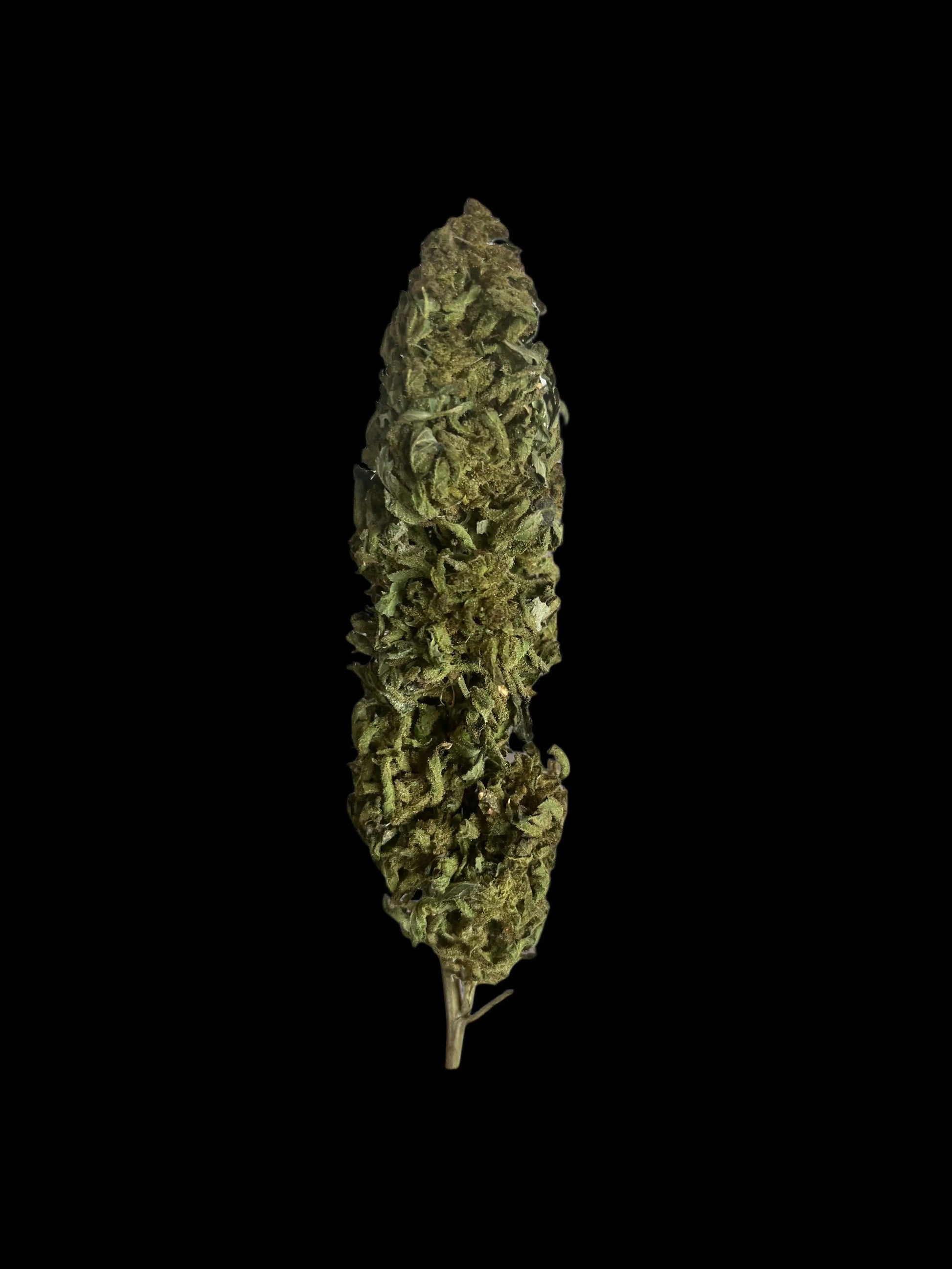 Fleur de CBD V1 – Greenhouse Suisse (Valais) – CBD Premium Woman's CBD World