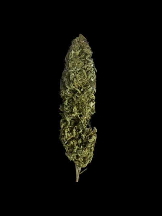 Fleur de CBD V1 – Greenhouse Suisse (Valais) – CBD Premium Woman's CBD World