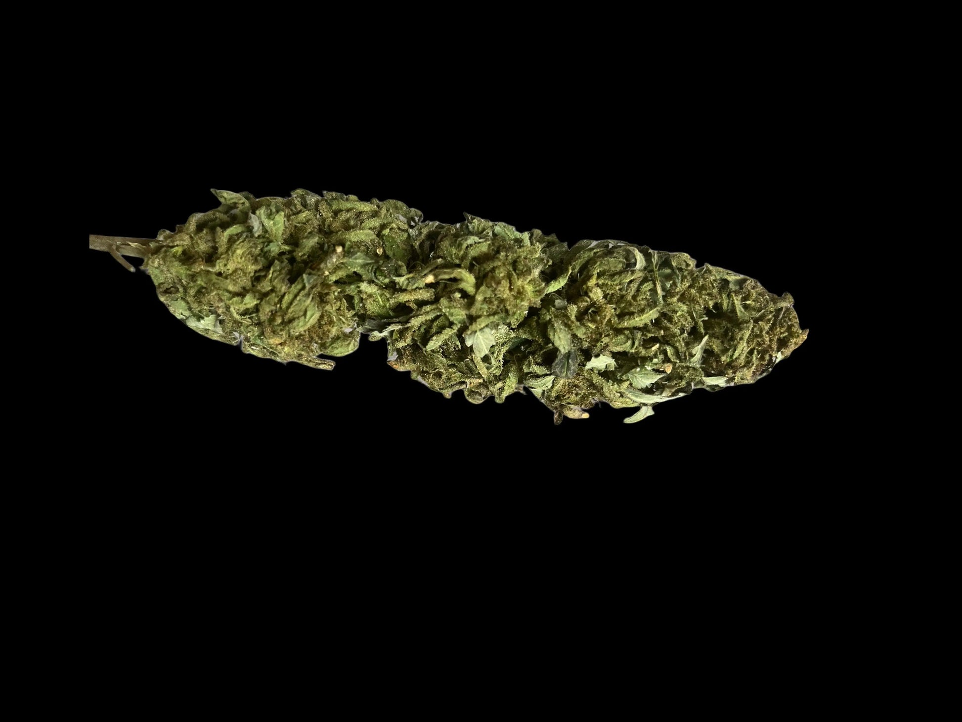 Fleur de CBD V1 – Greenhouse Suisse (Valais) – CBD Premium Woman's CBD World