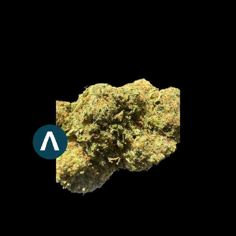 Fleurs - Plutonium Indoor - Woman's CBD World